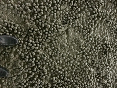 江西達人建材陶?；炷? title=