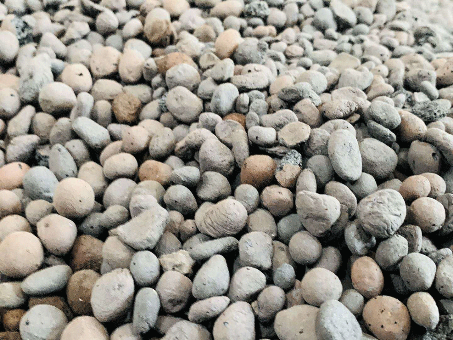 江西撫州陶粒廠發貨,價格便宜,陶粒強度好 江西撫州陶粒廠發貨,價格便宜,陶粒強度好